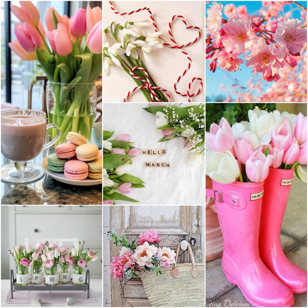 dafn1ek's tweet photo. Καλό Μήνα!!!!🌸🌺🪷🌼 #1st_of_March🩷 #Hello_spring💐🌺 https://t.co/y1SGl4ztJF