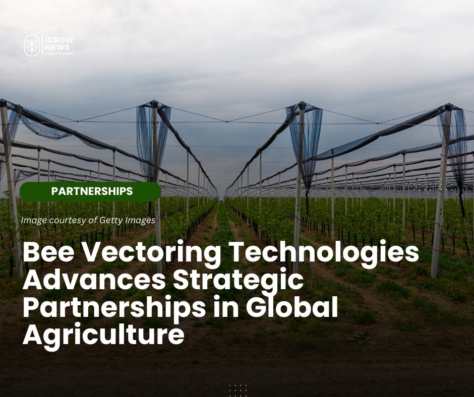 @BeeVTech  $BVT announces progress in strategic partnerships with global agricultural companies.

Read more here -> igrownews.com/bee-vectoring-… 

#igrownews