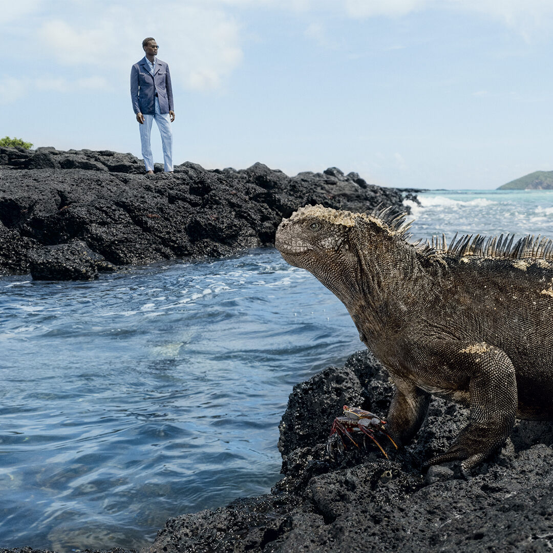 The marine iguana in the beauty of its natural habitat. Follow the latest SR Explorer mission in the Galapagos Islands. Photography: Mattias Klum Model: Yves Diatta #SR #stefanoricci #SRworld #Madeinitaly #fattoinitalia #SRluxury