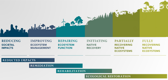 Exciting SER Update! One year after SER launched the Standards Based Restoration in Action Program, we are supporting 14 standards based ecological restoration projects in six countries in collaboration with Microsoft. Read our press release here: ser.org/news/665513/