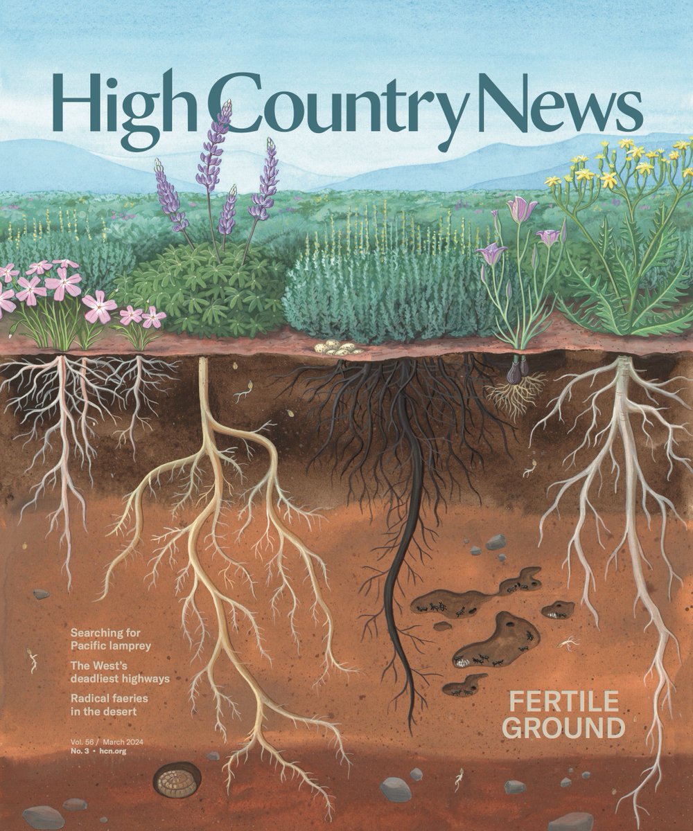 It’s easy to feel overwhelmed during difficult times, but HCN’s March issue finds good reason to hope. Digital issue now live.

ow.ly/5cfr50QJU9y