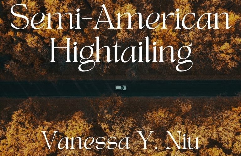 'The heart, she seems to whisper, the heart never / stops marching. You are simply its feet.' Check out this week's evocative #newvoicespoem 'Semi-American Hightailing' by Vanessa Niu: buff.ly/3UNpfJ0 #frontierpoetry #poem