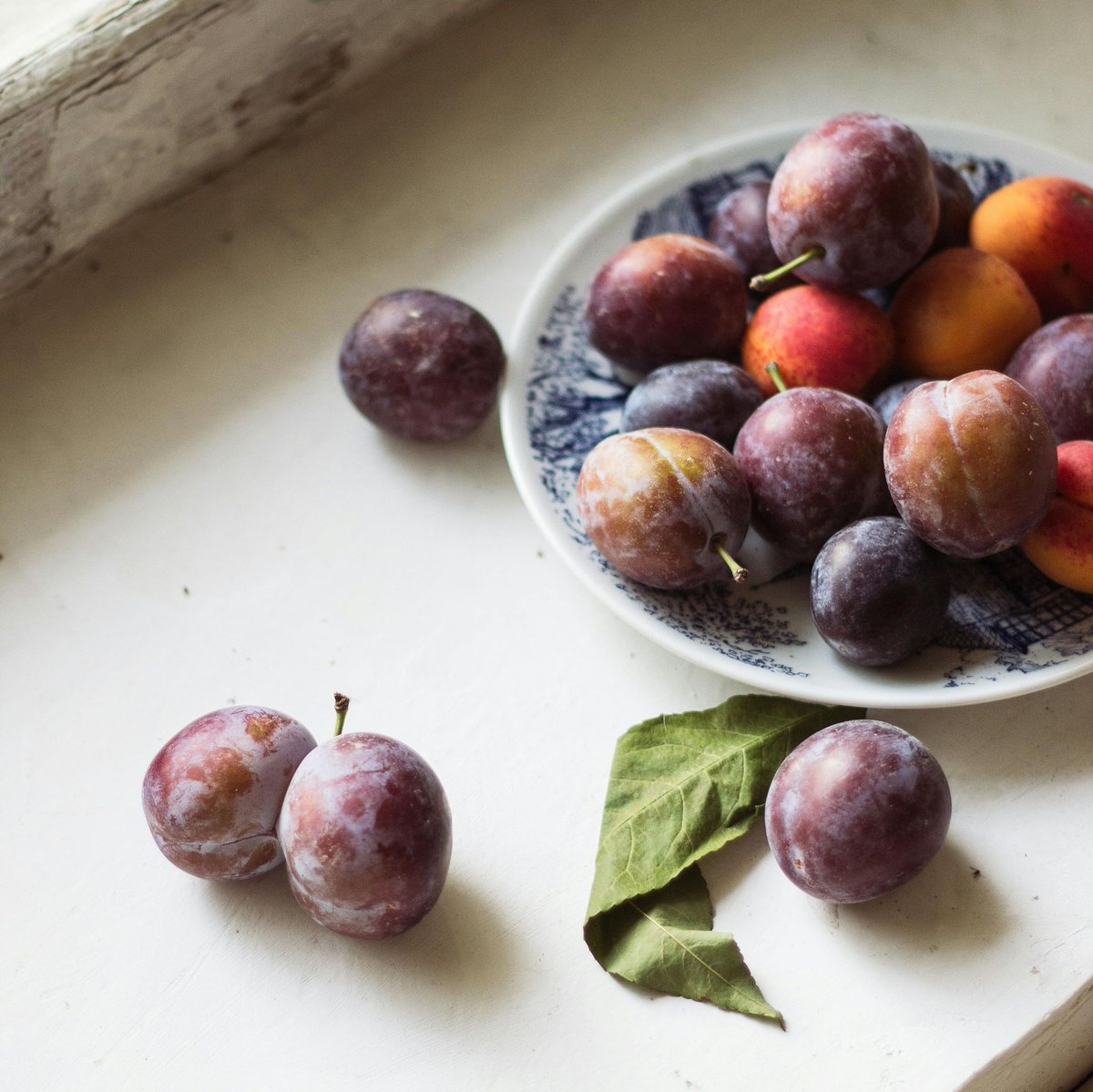 ParadigmScience's tweet image. Virgin Plum Oil is extracted via cold pressing from the seeds of non GMO Plums. It boasts a high content of Omega 6 &amp;amp; 9 Fatty Acids, comprising approximately 15-25% Linoleic Acid and 60-80% Oleic Acid. 

For more information visit our website at :

ParadigmScience.com