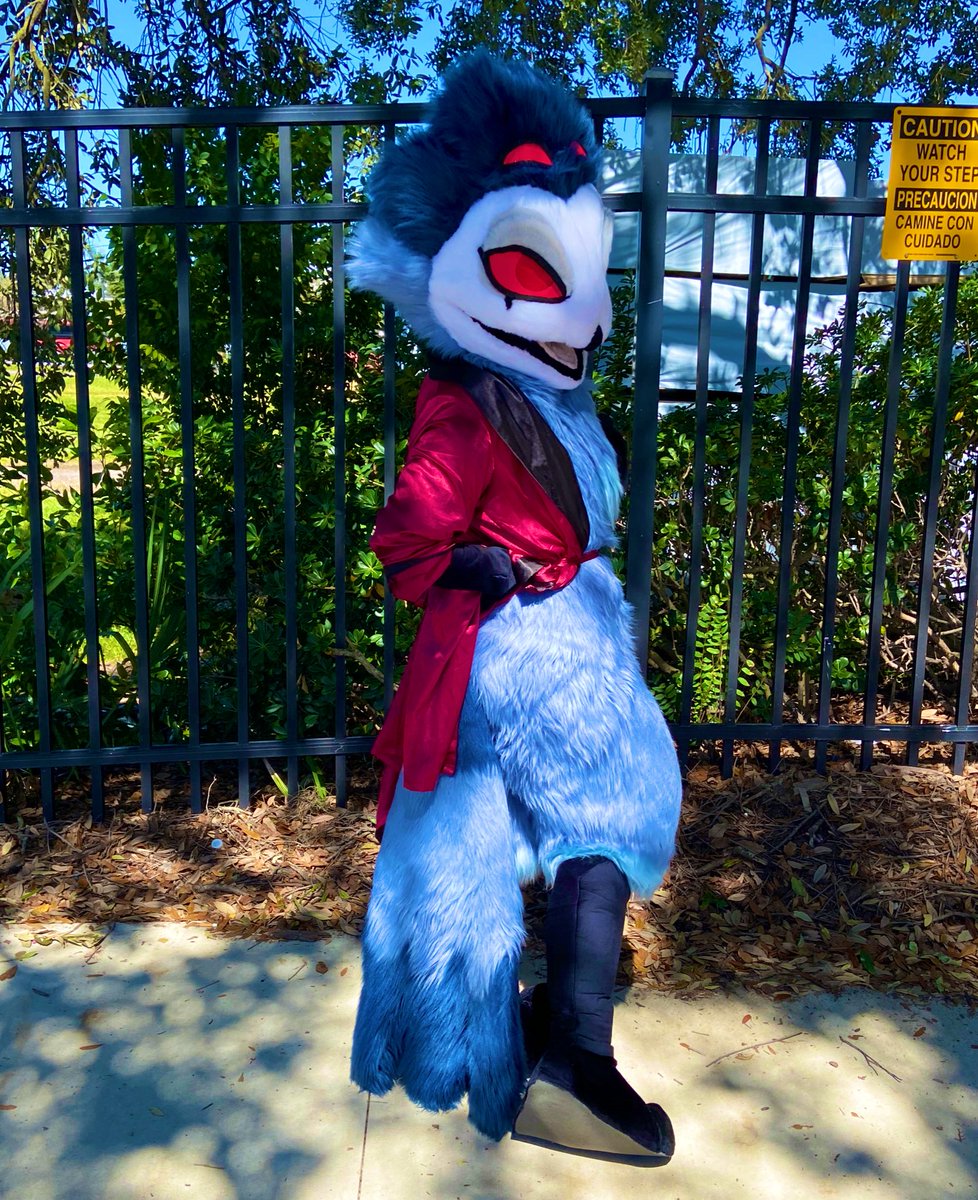 MochaDutchie 🔜 Megaplex tweet media