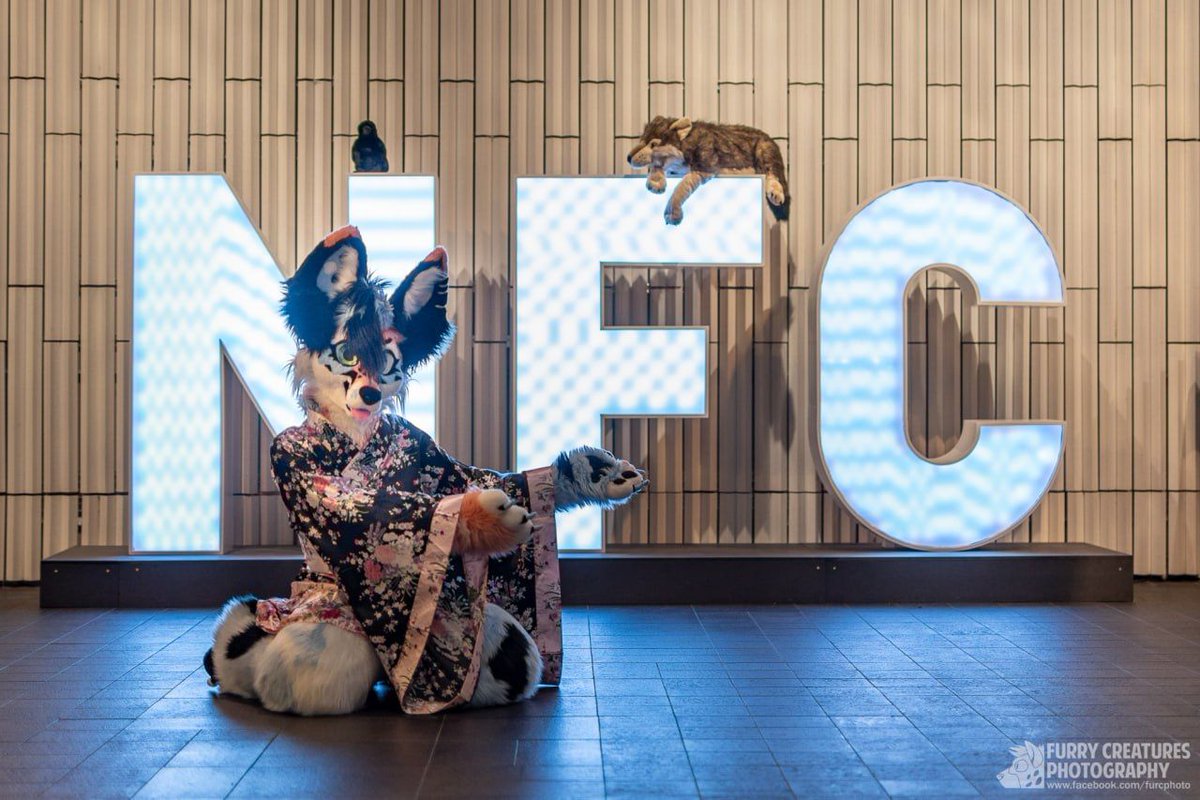 Last week I did visit one of the best furcons ever, I did enjoy it so much! 
Looking forward for next year.
Thank you all my friends who made this time special to me. 💜 🌸 

📸 Furry creatures photography fb: @furcphoto

#NFC #NFC2024 #fursuitfriday #furry