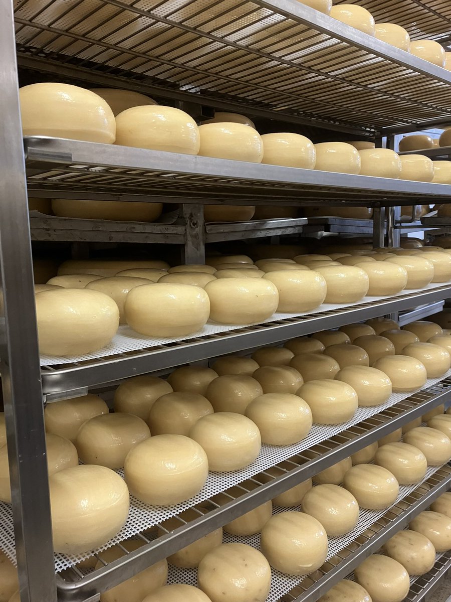 UtopiaHoeve's tweet image. Vandaag is het #complimentendag een mooi moment om ons team van de kaasopslag een #compliment te geven. Er zit namelijk heel veel handwerk aan ons #ambachtelijke product; keren , plastificeren en de dag erop weer keren en plastificeren. Dank jullie wel Toppers!! #geitenkaas ❤️🧀