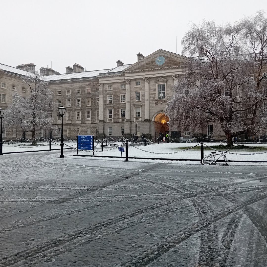 TCDBusiness's tweet photo. What an unexpected delight this morning! βοΈ
We are grateful to be a part of @tcddublin, especially on days like this where we can enjoy the beautiful campus.
#TransformingBusiness #TrinityBusiness #TrinityThroughYourLens #Ireland #SnowDay @tcdglobal @LindaDoyle https://t.co/ViYTlKJEJz