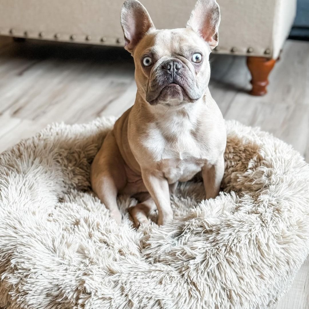 Best Friends by Sheri tweet media