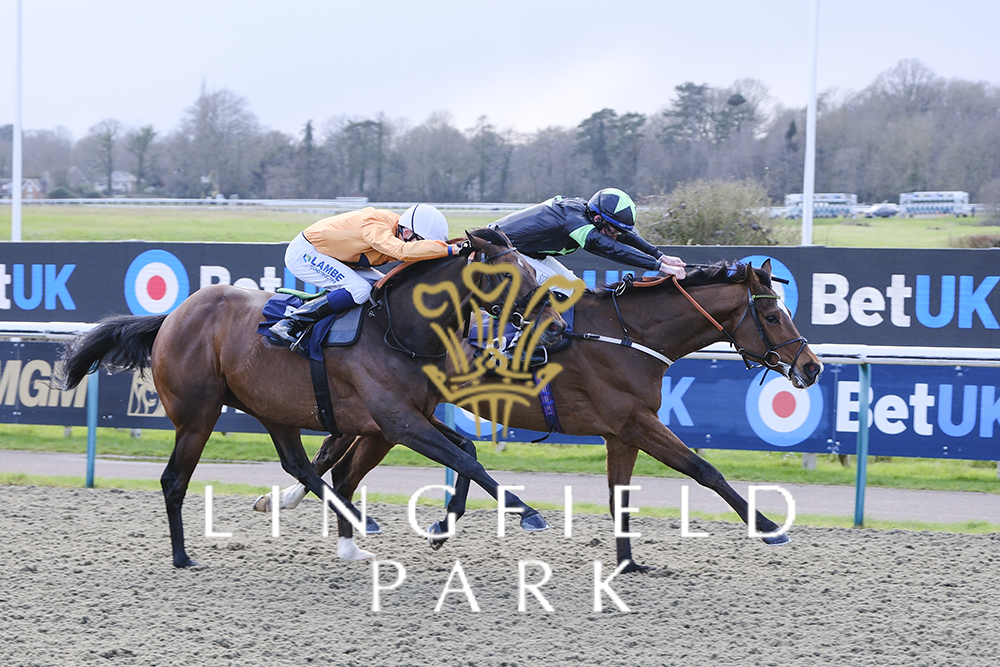 RACE 5 WINNER - @BetUKOfficial AWC Marathon Trial Handicap Spartan Army 🏆 Jockey: @Rossaryan15 Trainer: Alan King Owner: Mcneill Family & Patrick&Scott Brycela #LingfieldPark