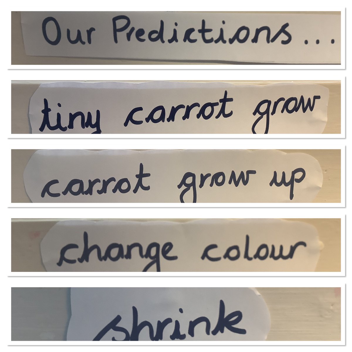 RGinfantsSchool's tweet photo. Year 1 have been predicting what will happen to our carrot tops we have left in waterโฆwhat do you think? #aweandwonder #responsiblelearners https://t.co/qwFMKGU0Uj