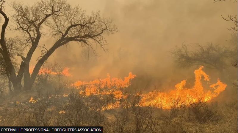 What is a wildfire and how are firefighters tackling this one in Texas? bbc.co.uk/newsround/6843…