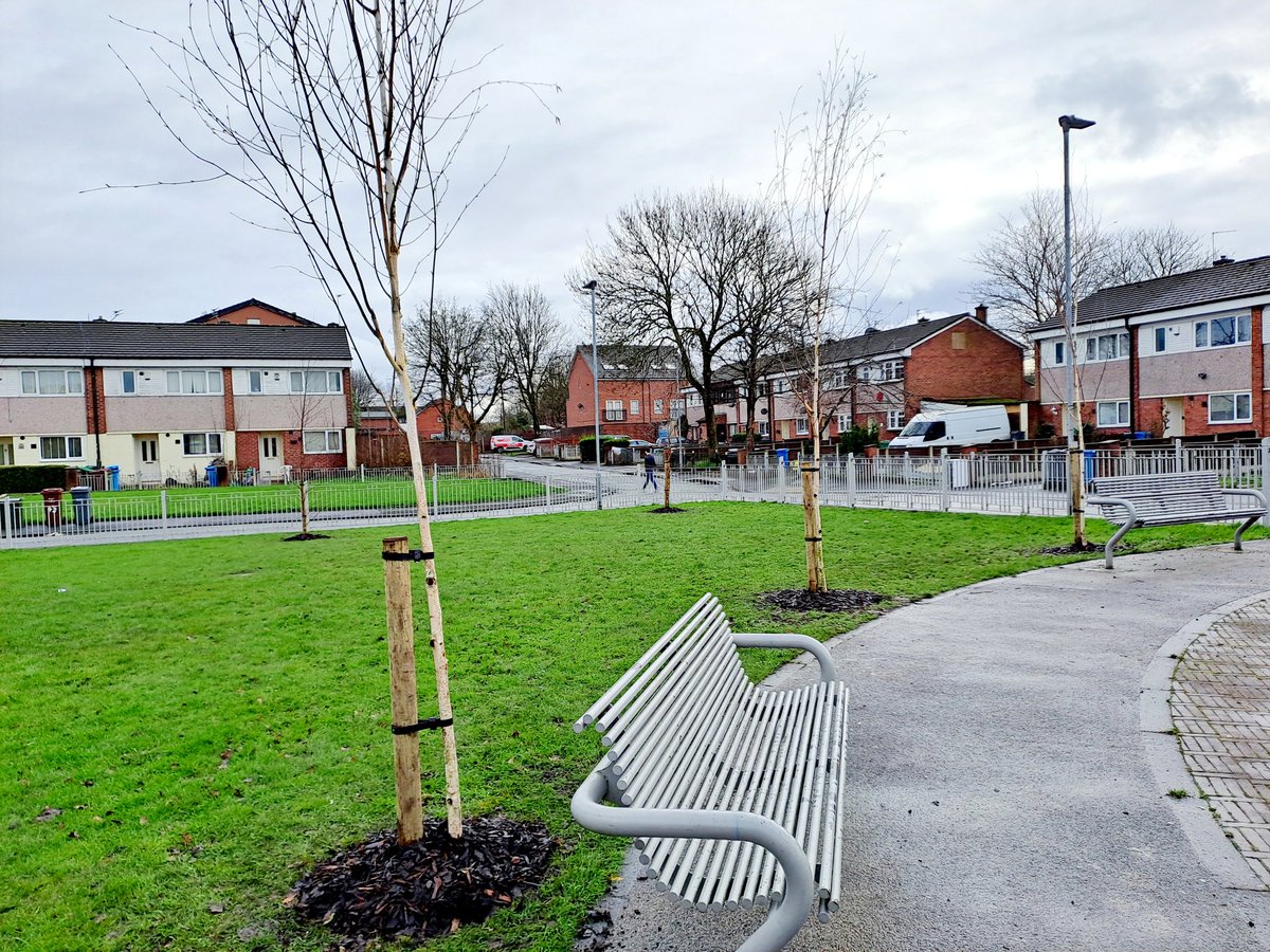 YAY! First part of Miles Platting Wildlife Corridor improvements are in! 10 new trees planted. Next up &gt; 30 new street trees, 297m hedging, lots of wildflower turf, 2 ponds, various perennials, climbers, fruit &amp; large canopy trees, &amp; bulbs. 💚🥰 #MPCAN &gt; tinyurl.com/5f6re5tr