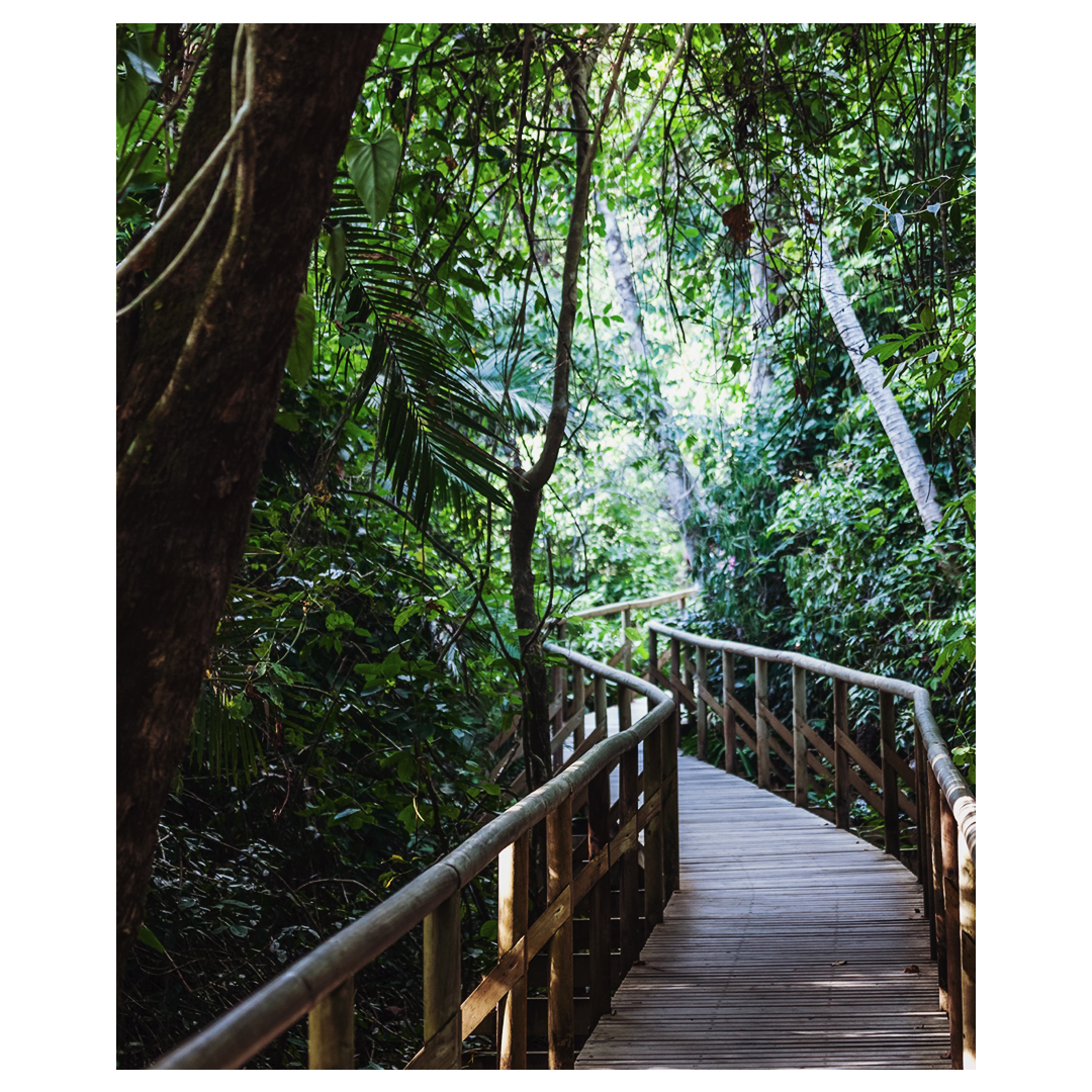 kontikiX's tweet photo. On this journey, capture a moment of tranquility as you encounter the park's biodiversity and experience the serenity of wildlife. #AboveSeaLevel #SmallLuxuryHotels #BCorp https://t.co/y7BtyMEIGo