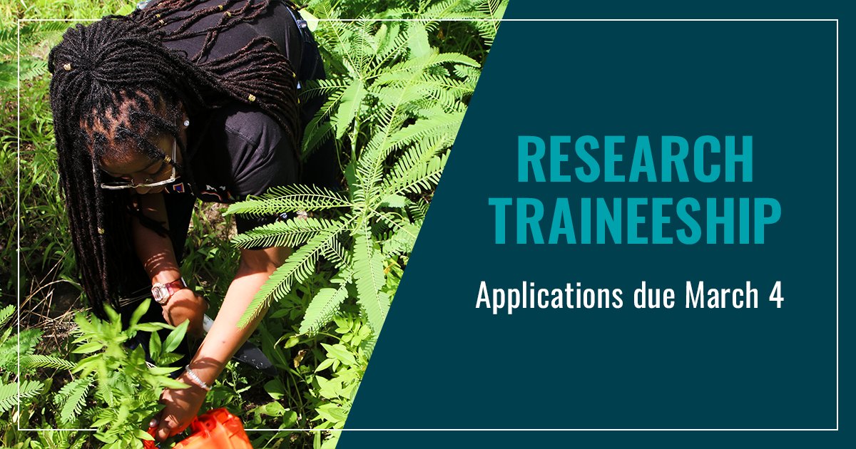 Are you an undergraduate or graduate student interested in doing research in coastal, ocean or marine ecosystems? 🔬 Get your applications in for our Research Traineeship! Deadline is Monday, March 4. t.uga.edu/8Vh