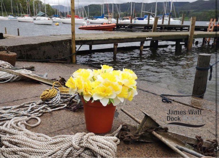 Dydd Gŵyl Dewi Hapus to all our Welsh customers and friends. 🌼 🏴󠁧󠁢󠁷󠁬󠁳󠁿 #stdavidsday @jwdmarina @discinverclyde