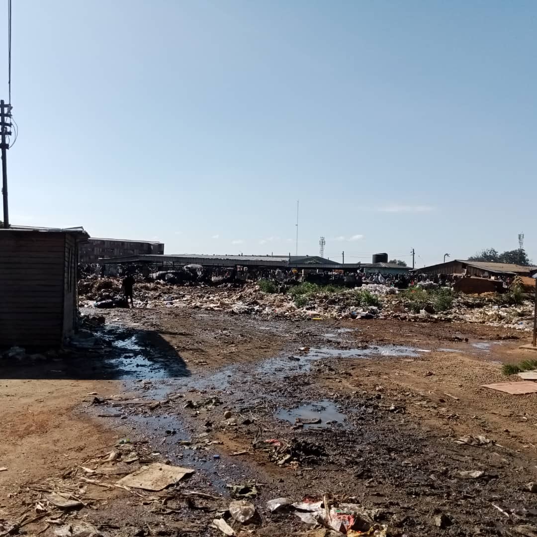 As we begin womens month ,ARC joined the Zimbabwe Gender Commission and the City of Harare to conduct a clean-up campaign at Mbare Musika @cohsunshinecity @GenderZimbabwe #cleancity #womensmonth