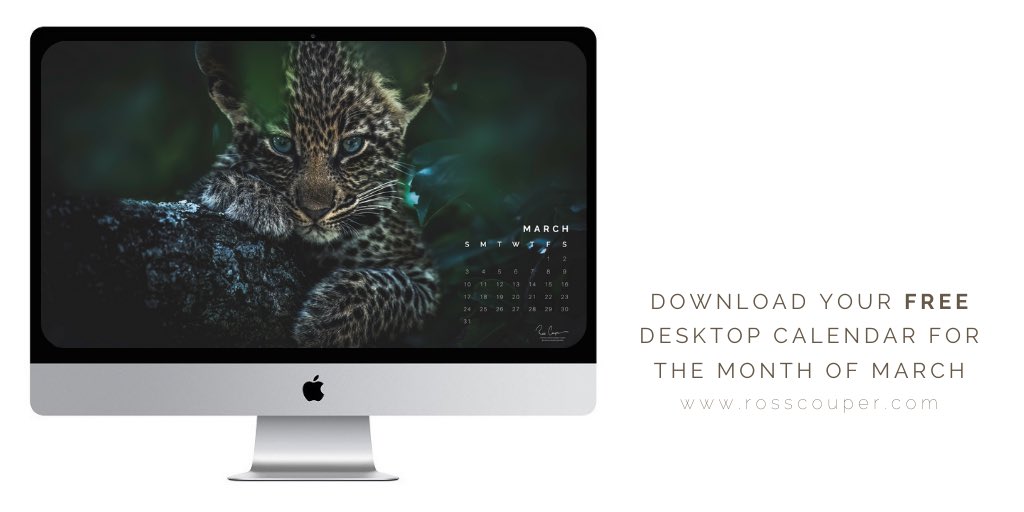 Discover the Wild Side of March 🐾
Download your free desktop calendar today at rosscouper.com
#march #desktop
