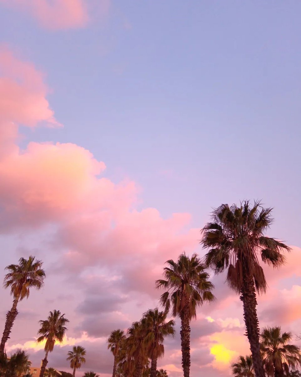 Un ciel avec des nuages en barbe à papa ?🍭 Ça existe aussi en #CotedAzurFrance 😁

📸 to_the_mel_and_back (IG)
📍@StRaphael_Var , @EsterelCoteAzur

#Sunset #SaintRaphael #LeVarLUnique