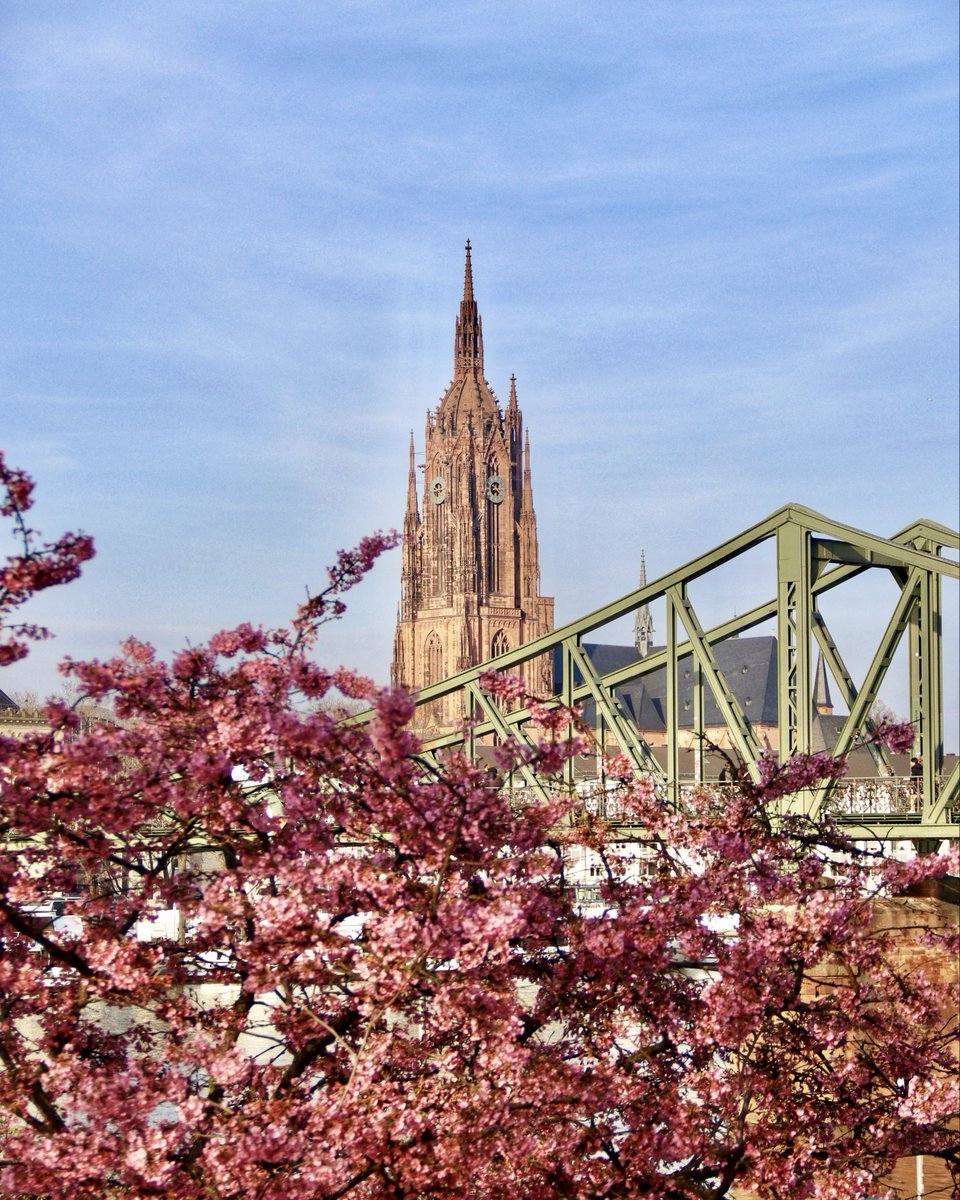 Habt ihr die ersten Frühlingsboten schon bemerkt? 😍 🌸