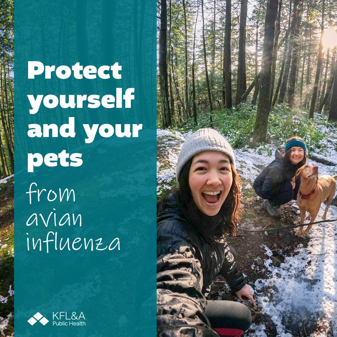 Don’t touch! If you spot a sick or dead bird you can report it to the Canadian Wildlife Health Cooperative by calling 1-866-673-4781