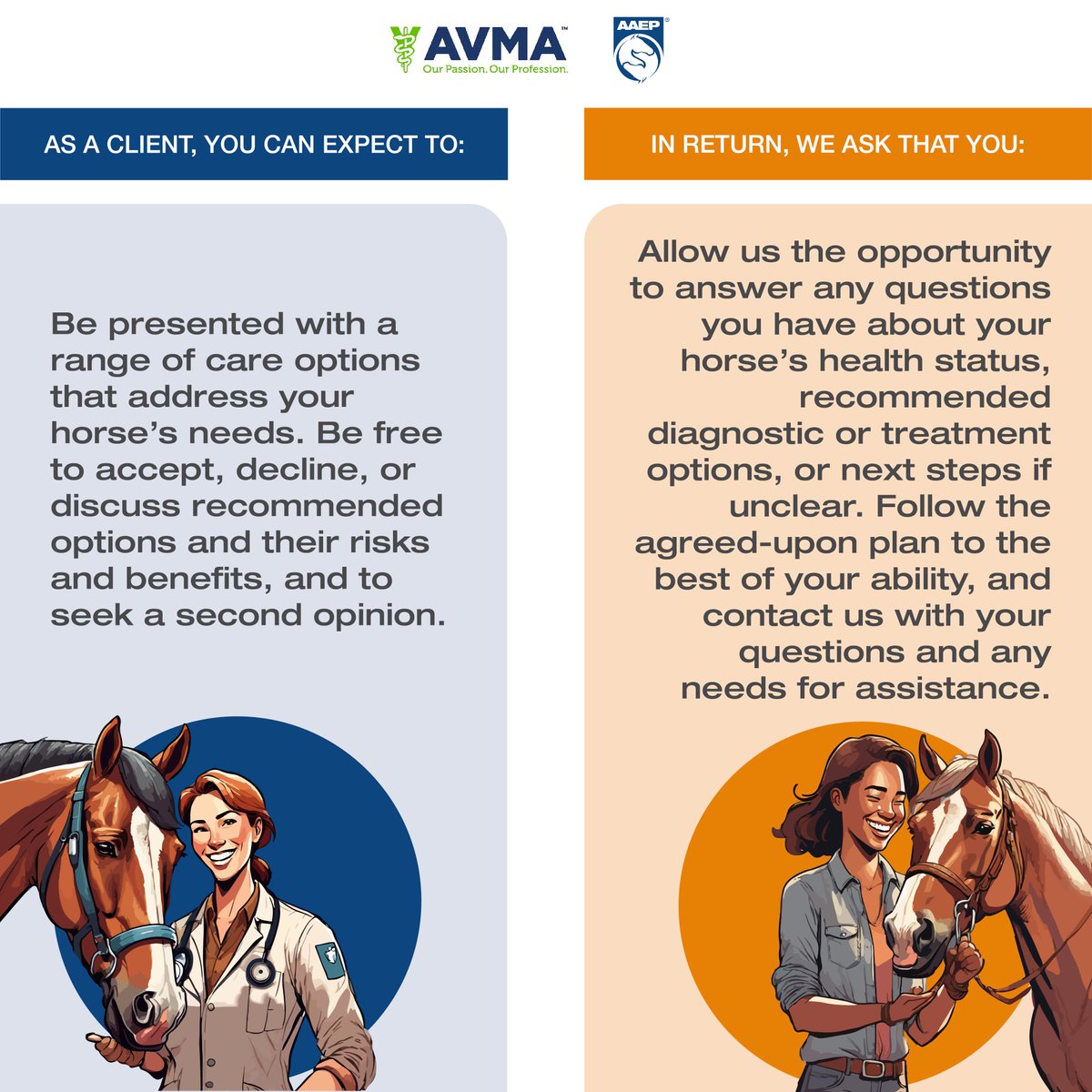 Today, in honor of #WorldHorseDay, we're thrilled to announce the release of the Effective Equine Care Guide, a resource meant to foster better communication and better care for horses. Read more about this collaborative effort by @AVMAvets and AAEP at aaep.org/node/38241