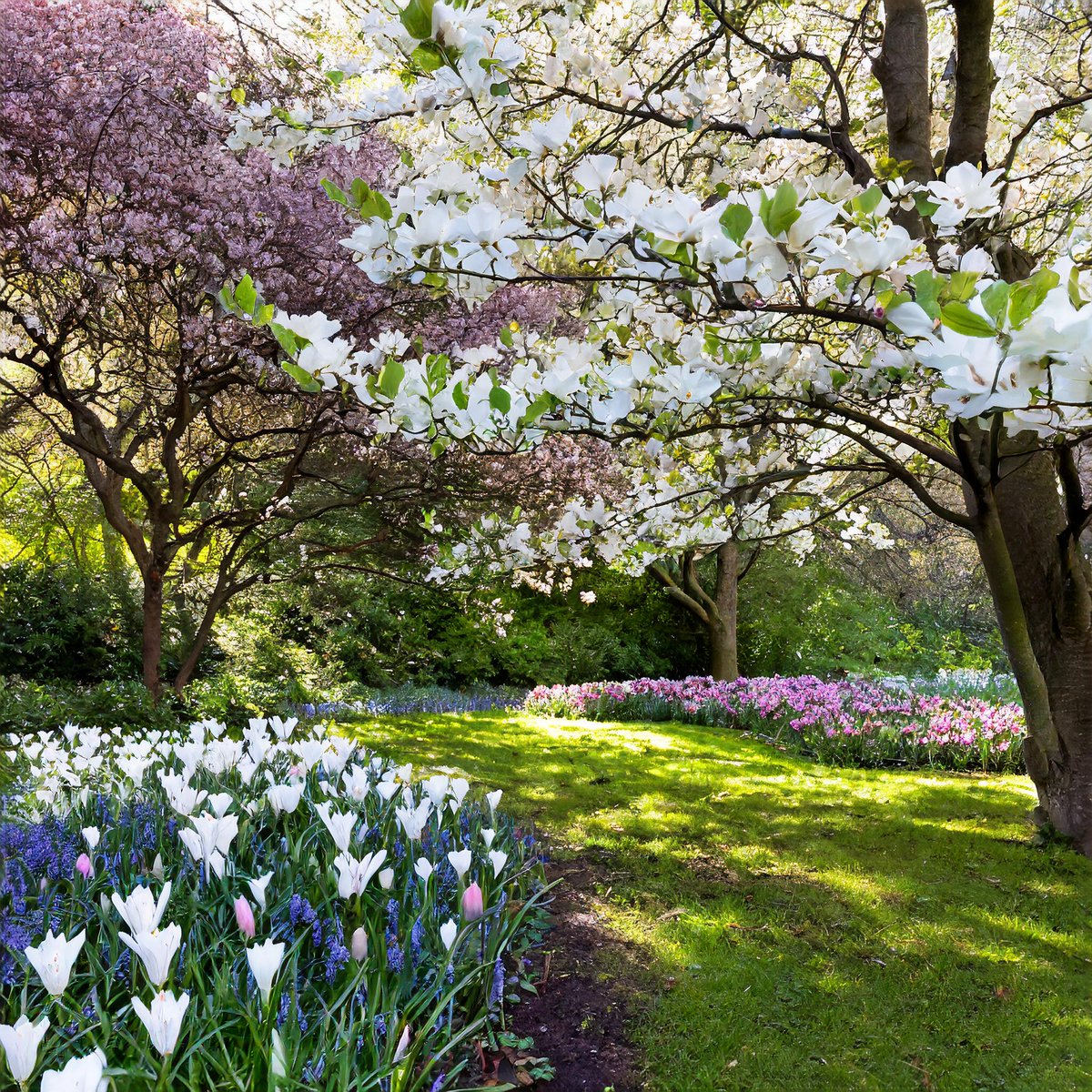 'It was one of those March days when the sun shines hot and the wind blows cold: when it is summer in the light, and winter in the shade.'

from Great Expectations by Charles Dickens
#Dickens #March #lightandshade #booklover 

Happy March! 🌳🌾🌼🌸🪻🏞️ 🌤️ 💚

#EarlySpringBlossom