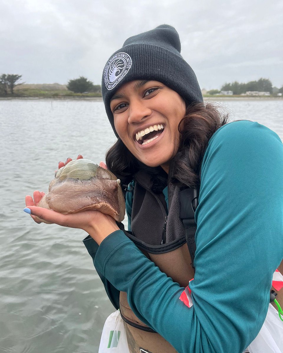 UC Davis Coastal and Marine Sciences Institute (@ucd_cmsi) on Twitter photo Serina Moheed - <a href="/MoheedSerina/">Serina Moheed</a>, a PhD student in the Stachowicz Lab in <a href="/ucdavisbiology/">Biological Sciences</a>, monitors #seagrasswastingdisease in Northern CA, investigating whether there are multiple strains of the slime-mold pathogen in the Bodega & Tomales Bay estuaries.
#WorldSeagrassDay
1/4 Serina Moheed - <a href="/MoheedSerina/">Serina Moheed</a>, a PhD student in the Stachowicz Lab in <a href="/ucdavisbiology/">Biological Sciences</a>, monitors #seagrasswastingdisease in Northern CA, investigating whether there are multiple strains of the slime-mold pathogen in the Bodega & Tomales Bay estuaries.
#WorldSeagrassDay
1/4