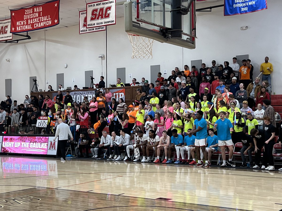 MACUAthletics tweet media