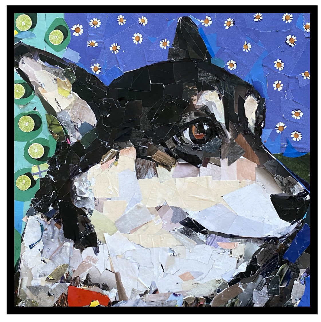 Samuel Price tweet media