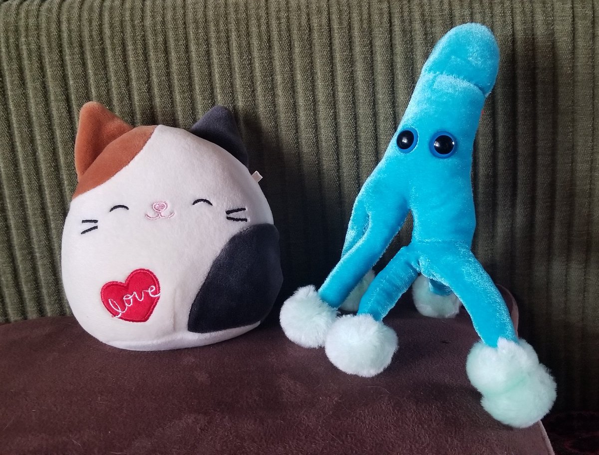 ChristiniYogini's tweet photo. I know it's only March 1 but this is definitely the best purchase of the month. 💜😂💜 #Serendipity #penicillium #bluemold Jimin Jimin @BTS_twt https://t.co/UKwZFhhFxB