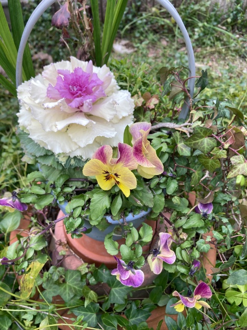 ccr_ribbons's tweet photo. 先週の好天で、
再び咲き始めたパンジー、
ストロベリースワール。
かわいい〜😊

昨日は、不安に思ってたニガテ分野のアクシデント発生。
疲れて帰ってきました。
お金に絡むことは、やーね。
今日復習してきます💦

#出勤
#お庭 #gardenin
#lowcost #lowmaintainance
#TLを花でいっぱいにしよう https://t.co/jsA8anfFY8