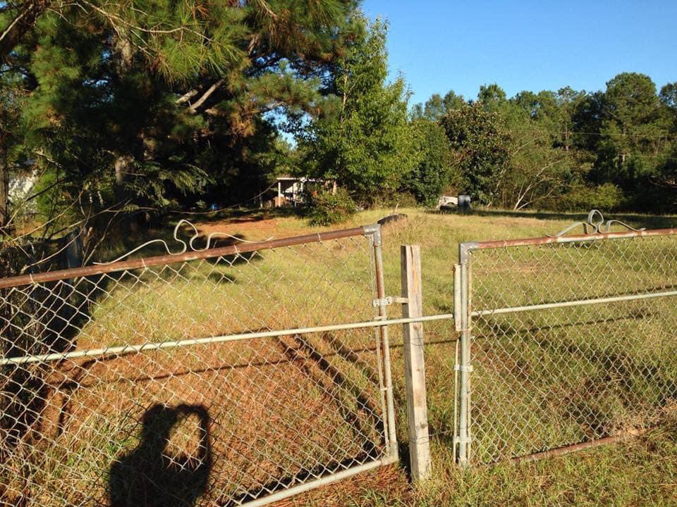 Ten years ago today, then 2-year old Myra Lewis vanished from her Mt. Pilgrim Road home in Madison County. 

She’s still missing. 

This age-progressed photo might resemble her. 

More on her story: 
facebook.com/share/p/J7WAtD…

#NeverForgotten #MyraLewis