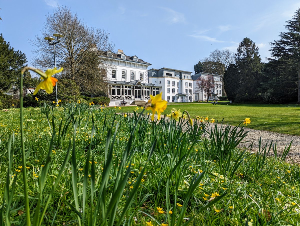 Dydd Gŵyl Dewi Hapus 🏴󠁧󠁢󠁷󠁬󠁳󠁿🌼 Happy St. David's Day to all of our Welsh students, staff, alumni and friends 💙 #TeamGlos