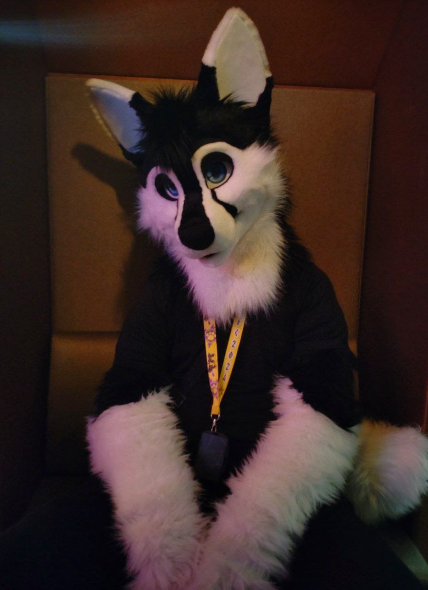 Guess it’s way overdue for my first #FursuitFriday :) From #NFC2024 

📸 <a href="/DasvidanjaLee/">Lee @ 🌄</a> 
🪡 <a href="/CamodileCroc/">CamoDile</a>