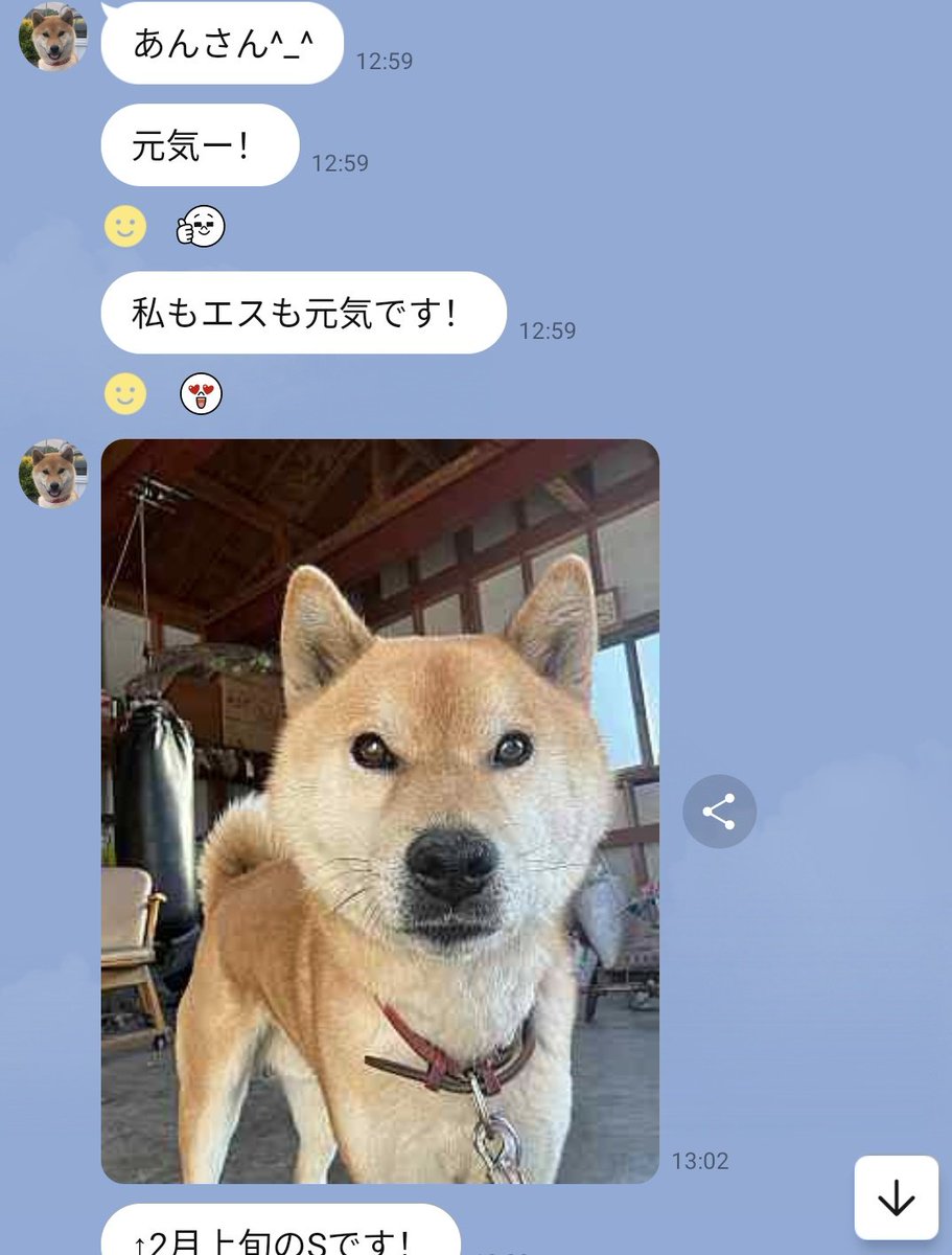 Anne Laure tweet media