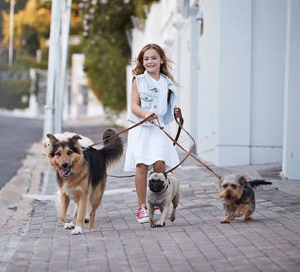 uturnhandles's tweet photo. 🦮🦮🦮 Triple Dog Leash Handle https://t.co/6wuP1wtamz
#smalldogs #smallbreeds #terriers #spaniels #dachshunds #westies #akitas #beagles #papillons #poodles #pugs #schnauzers #yorkies #frenchies #corgis #bichons
do #cesarmillan #taylorswift #ladygaga have #3dogs? https://t.co/1TPkeswyJe
