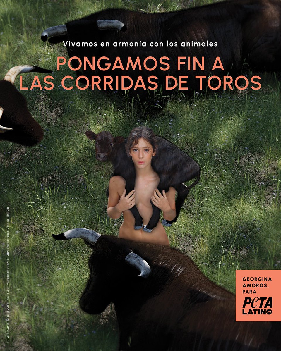 La increíble actriz española Georgina Amorós se unió a PETA Latino para crear este impresionante anuncio contra la tauromaquia. 🐂💔 “La gente tiene esta concepción de que los toros son agresivos y que son animales violentos cuando en realidad son animales supertranquilos y que…