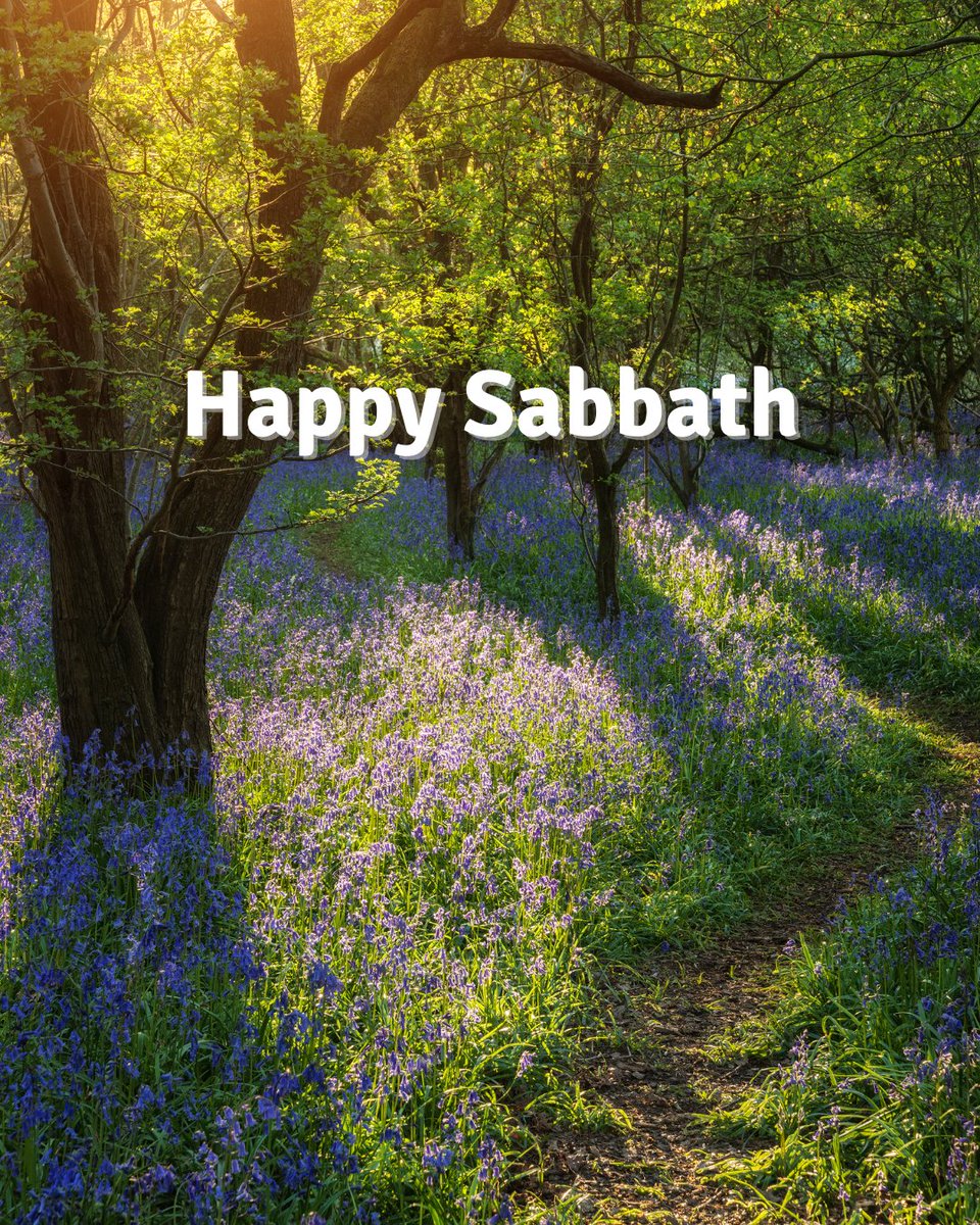 Happy Sabbath! 'And this gospel of the kingdom will be proclaimed throughout the whole world as a testimony to all nations, and then the end will come.' (Matthew 24:14)

#AdventistMission #HappySabbath