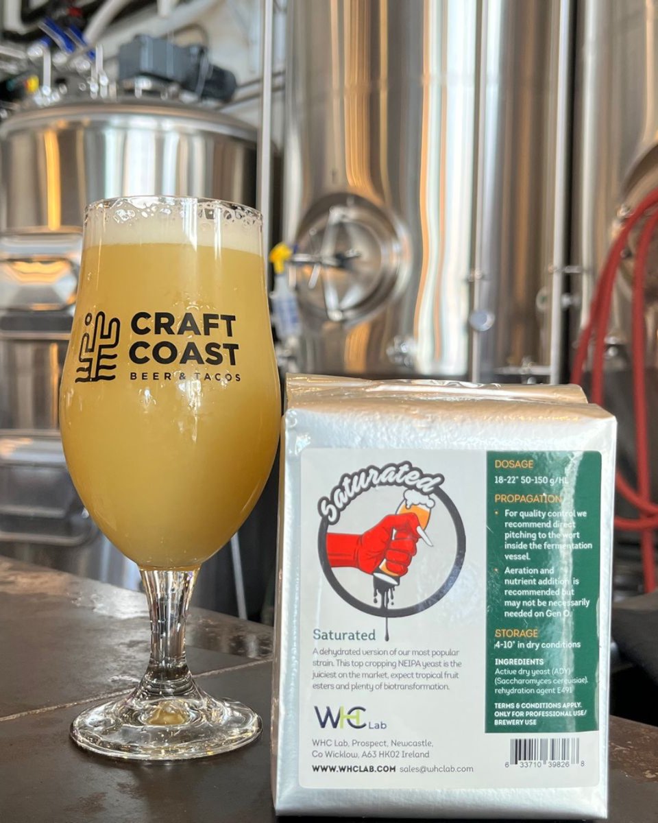 Shootz Mahalo Hazy IPA made with Saturated 🇺🇸 Craft Coast Beer & Tacos based in Oceanside, California, used our Saturated in their most popular hazy beer, Mahalo Hazy IPA.🍻 👉 You can now find WHC yeasts in the USA! Get in touch for more info. 📧: eric@whclab.com