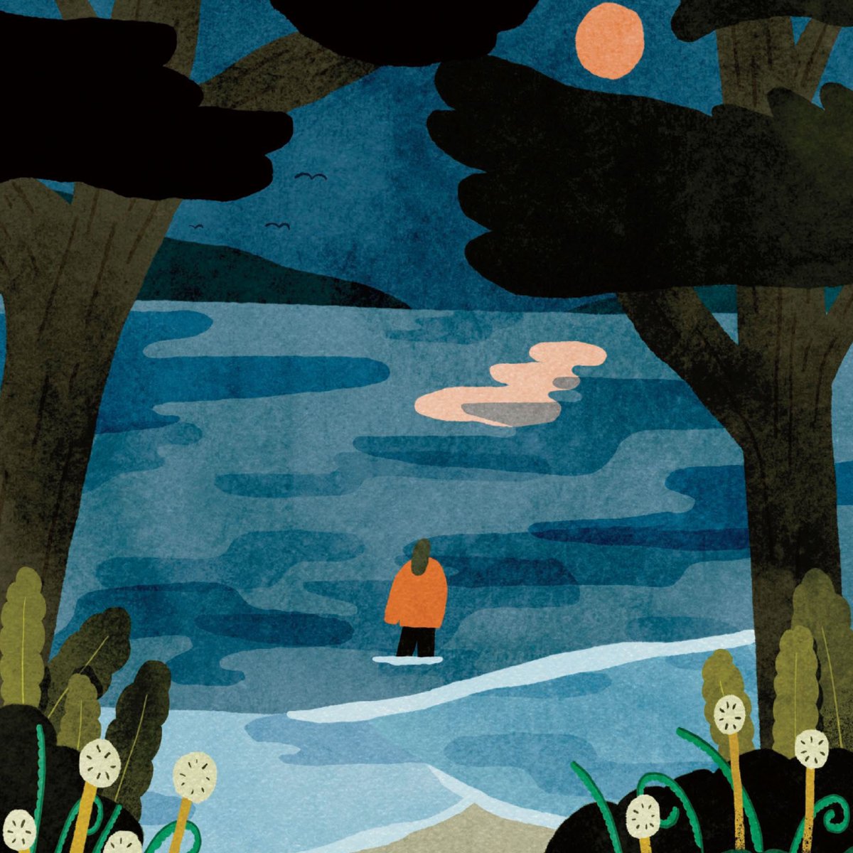 Wellesley Magazine tweet media