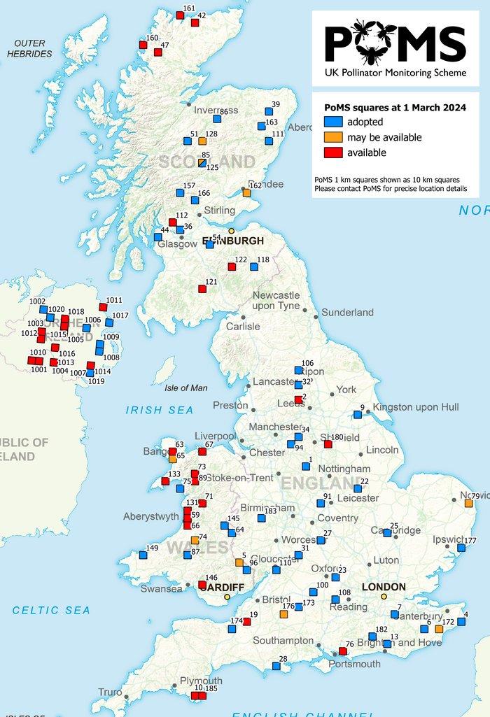 We've updated our map of PoMS 1 km survey squares. If you live near any of the red or orange squares and would like to volunteer to carry out the survey please get in touch - full info at ukpoms.org.uk/one-km-square-…