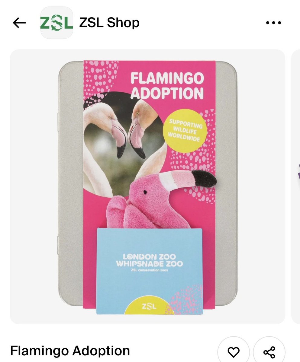 ciaraspinkpod's tweet photo. I have adopted a pink flamingo from @zsllondonzoo #PinkBird https://t.co/cPxaEM53lG