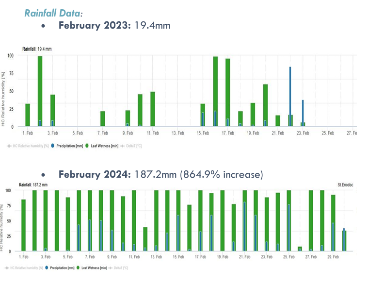 Take a look at the stats for rainfall February 2023 vs 2024 - incredible ! And our Green Keepers still managed to keep the courses open ! Magicians !
<a href="/swsportsnews/">South West Sports News</a> @cgucornwall