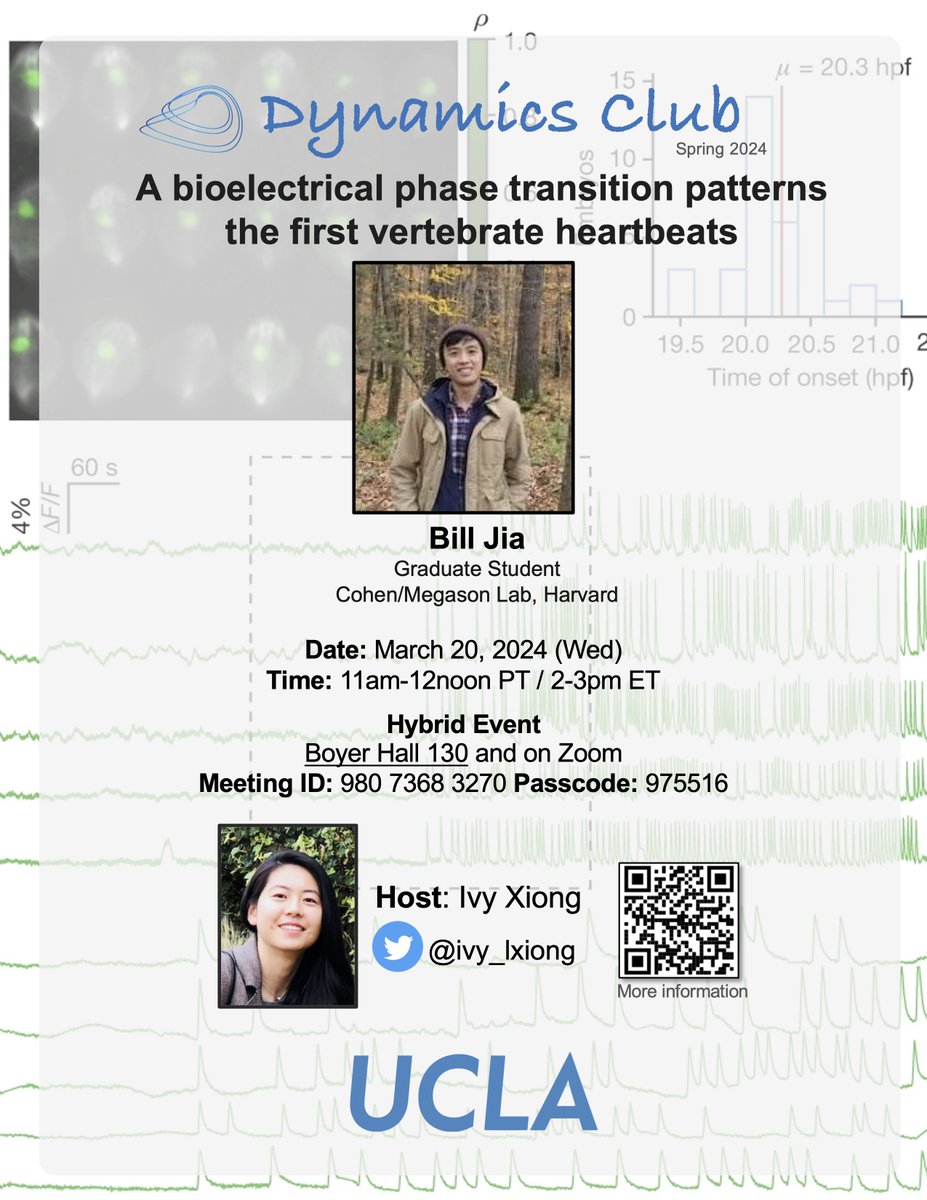 #DynamicsClub in March: 𝐁𝐢𝐥𝐥 𝐉𝐢𝐚 @BillZJia will share his work with @AdamEzraCohen and @SeanMegason on bioelectrical bifurcation during the first heartbeats. March 20 (Weds) at 11am PT / 2pm ET. Join us in person @UCLAQCBio or on Zoom: bit.ly/3X9LUgj @uclaibp