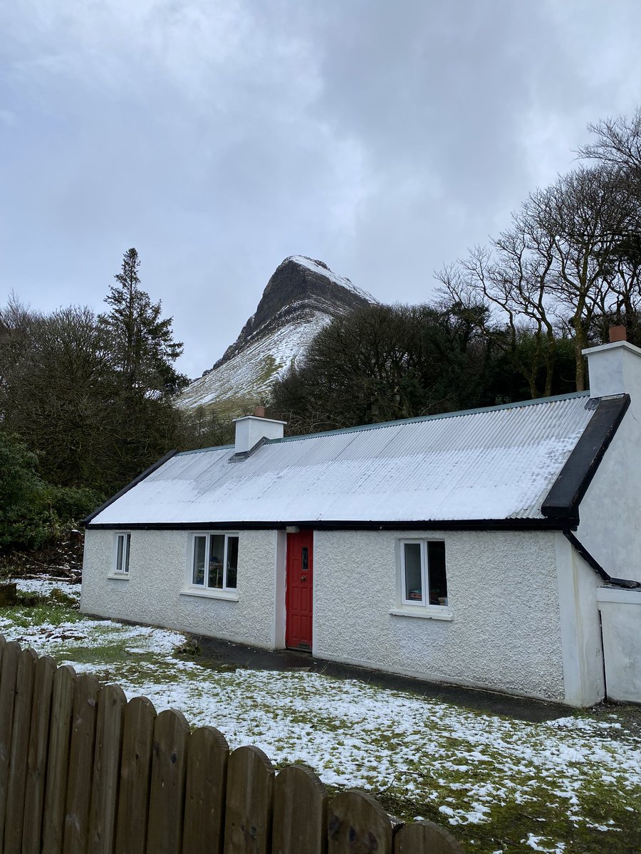 Jöellé Curoe tweet media