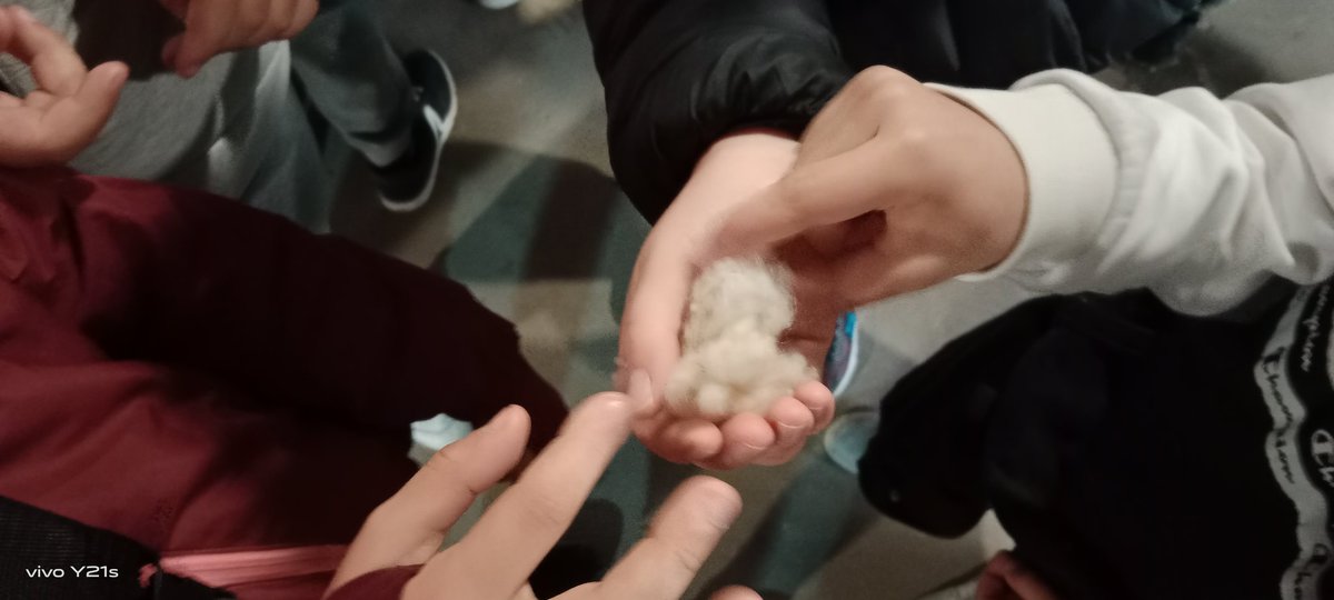 CEIPMARQUÉSDEVALERO tweet media