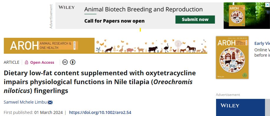 Mchele Limbu tweet media