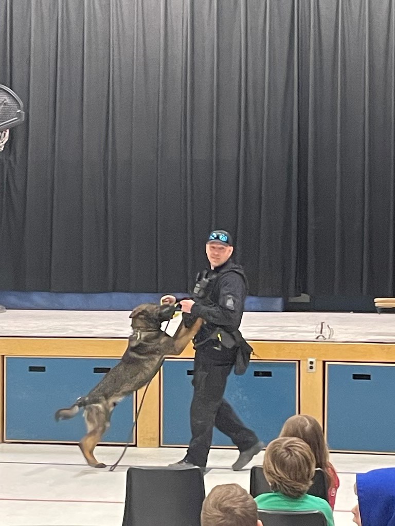 Woodstock Police Service tweet media