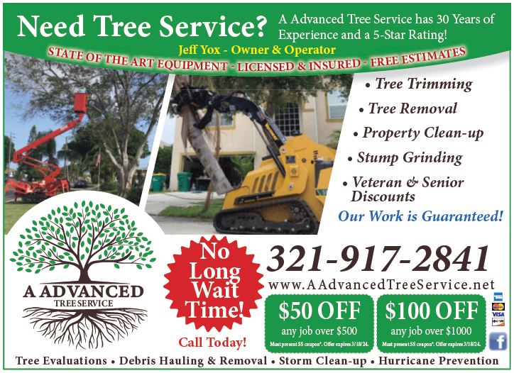 Need Tree Service? A Advanced Tree has 30 Years of Experience. Give them a call today. #AAdvancedTree #TreeTrimming #StumbGrinding #PorpertyCleanUp #Tree #ChainSaw #CallNow #SavingsSafari #Advertising #Marketing #Media #DirectGraphix #Coupons #Deals #Savings