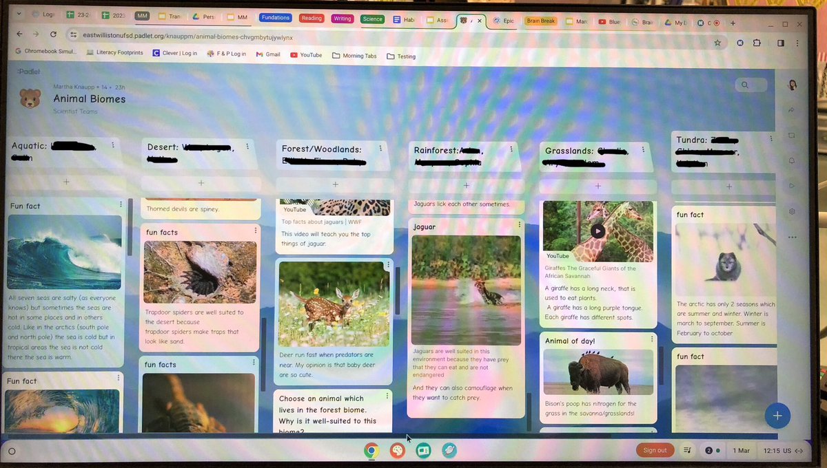 So many reasons to be proud of these 2nd graders: 1) researching in scientist teams, 2) learning and using sophisticated vocabulary (predator, climate, biome,…), and 3) learning to Padlet! #ewlearns <a href="/NorthSideEW/">North Side School</a>